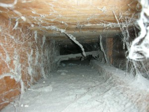 dirty-air-duct-steamers-carpet-care
