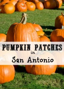 Pumpkin-patches-in-SATX