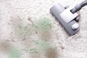 Tips on cleaning the dust in your room, then letting us handle the rest! 
